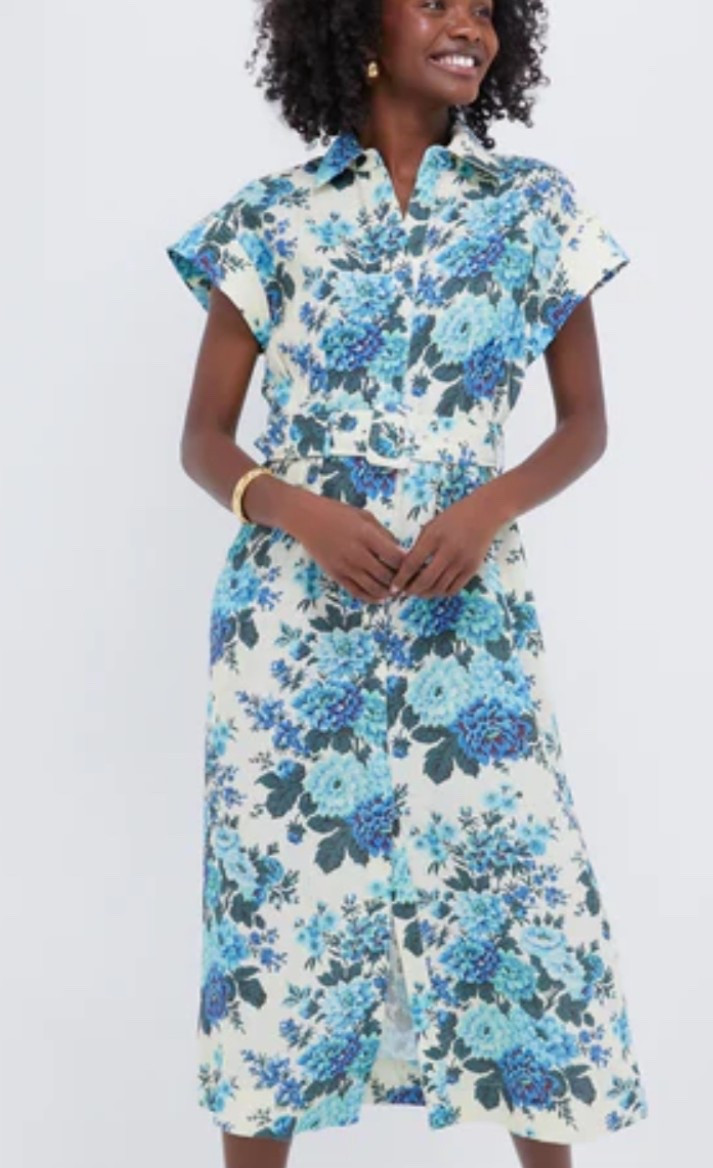 Tuckernuck sale Wild Zinnia Linen Chloe Dress midi dress under $90

#LTKSaleAlert