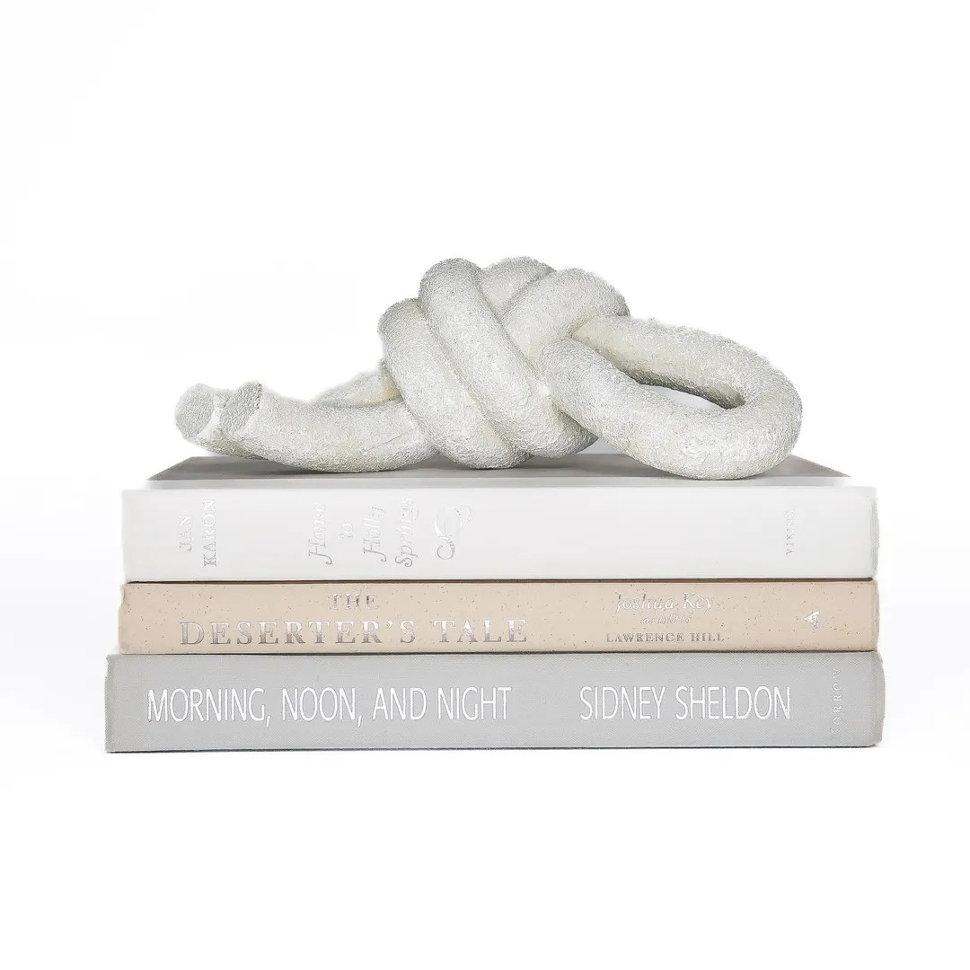 Book Bundle of White Gray Cream Silver Lettering Bookshelf Decor Home Decor Books - Staging Books... | Etsy (US)