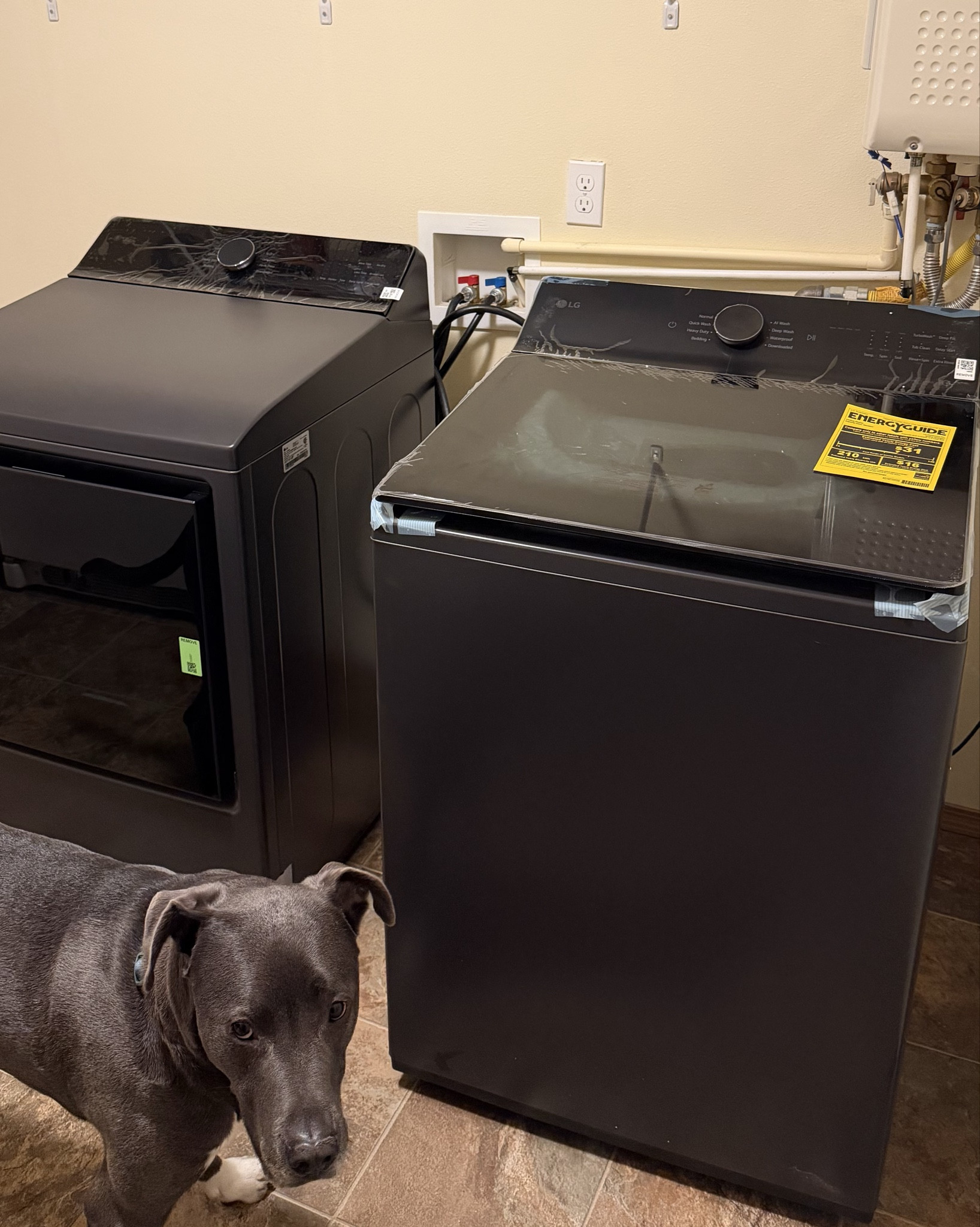 New Agitator Washer & Dryer! I read reviews & did research so these should be good! Investing in something that will last a long time! 🥹😍

#LTKselfcare #LTKvlog #LTKdayinmylife