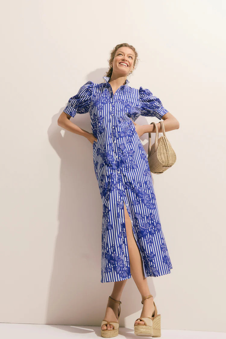 Blue & White Striped Floral Louisa Maxi Dress | Tuckernuck (US)