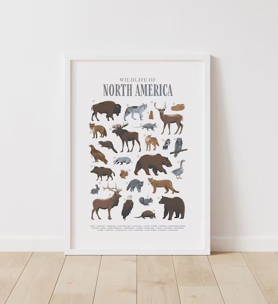 Woodland Animal Print Printable Wall Art Wildlife Poster - Etsy | Etsy (US)