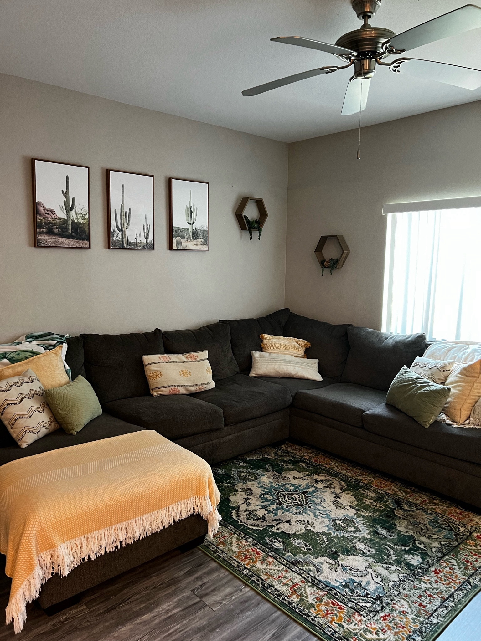 Living room update 🌵 🌱 