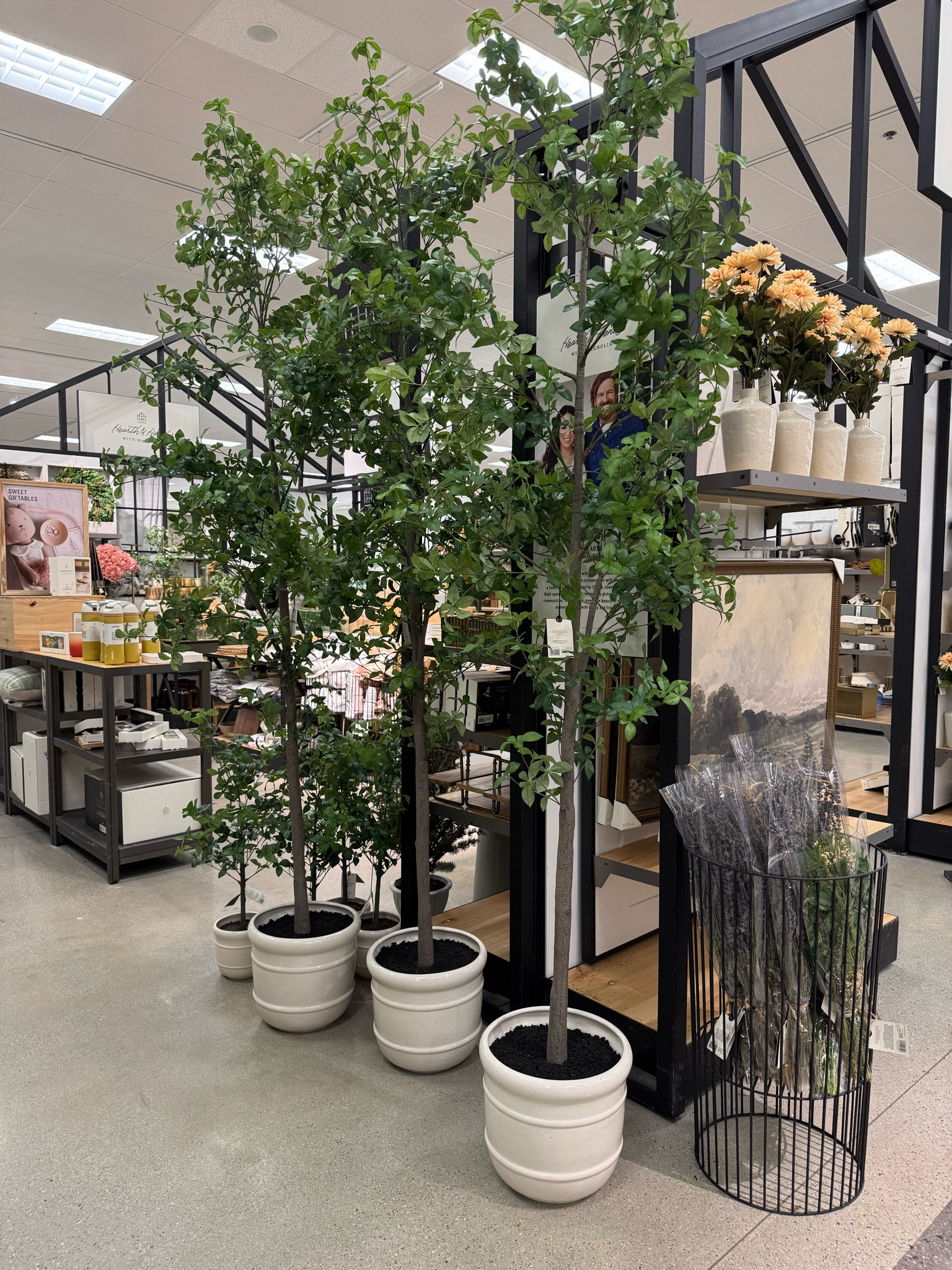 These beautiful 8ft faux tree from Target 🎯 are perfect for any corner in your home! I love being able to bring nature inside! 🪴
#targethome #fauxtree

#LTKHome #LTKStyleTip