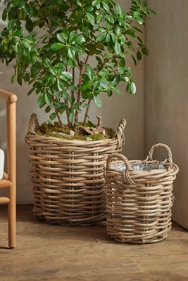 Rattan Cylinder Basket Planter | Terrain