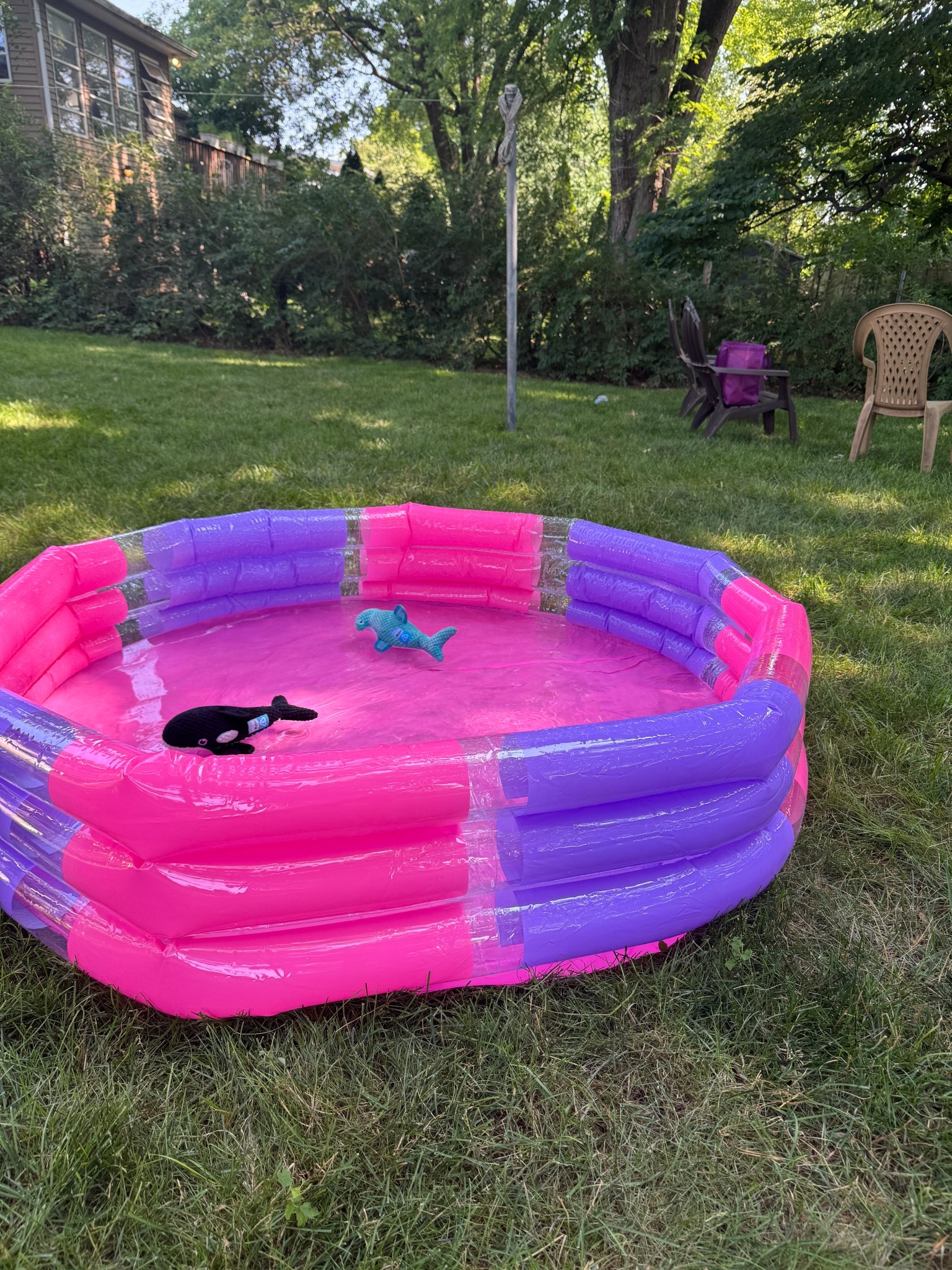 Everything you need to throw a dog pool party this summer from inflatable pool, dog, pool, toys, and bubble machine.

#LTKSeasonal #LTKFindsUnder50 #LTKPets