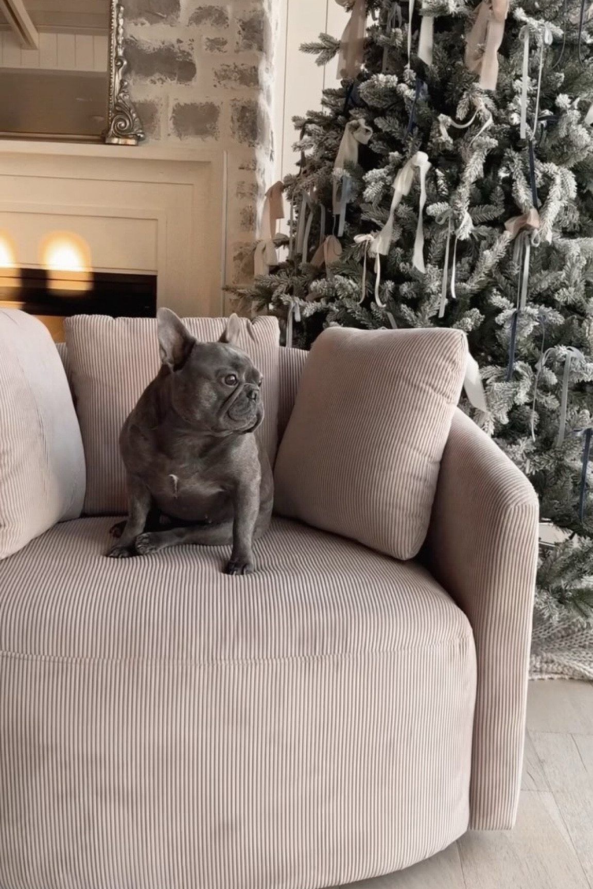 I ended up getting 2 of these viral chairs from Walmart!! So comfy and easy to put together! 😍

#LTKStyleTip #LTKHome #LTKHoliday