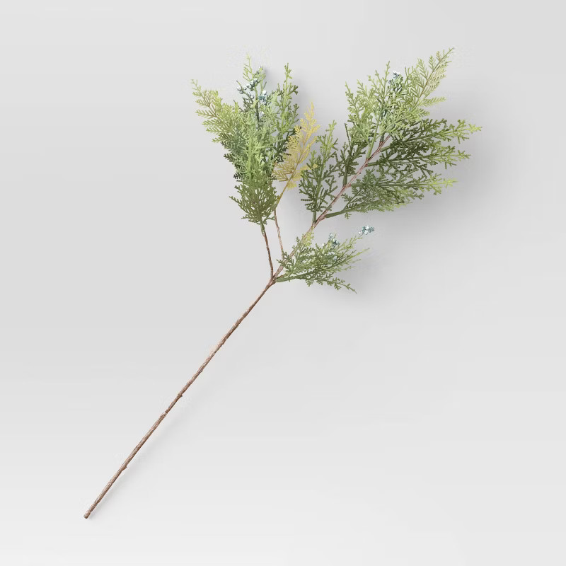 Cypress and Juniper Stem Arrangement Green - Threshold™ | Target