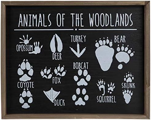 Amazon.com: Hobby Lobby Animals of The Woodlands Tracks Hanging Wood Wall Décor : Home & Kitchen | Amazon (US)