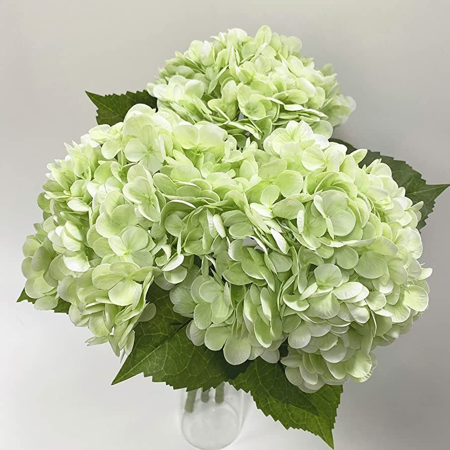 ZooeyRoose 3pcs 21 inches Large Big Light Green Artificial Hydrangea Flowers | Amazon (US)