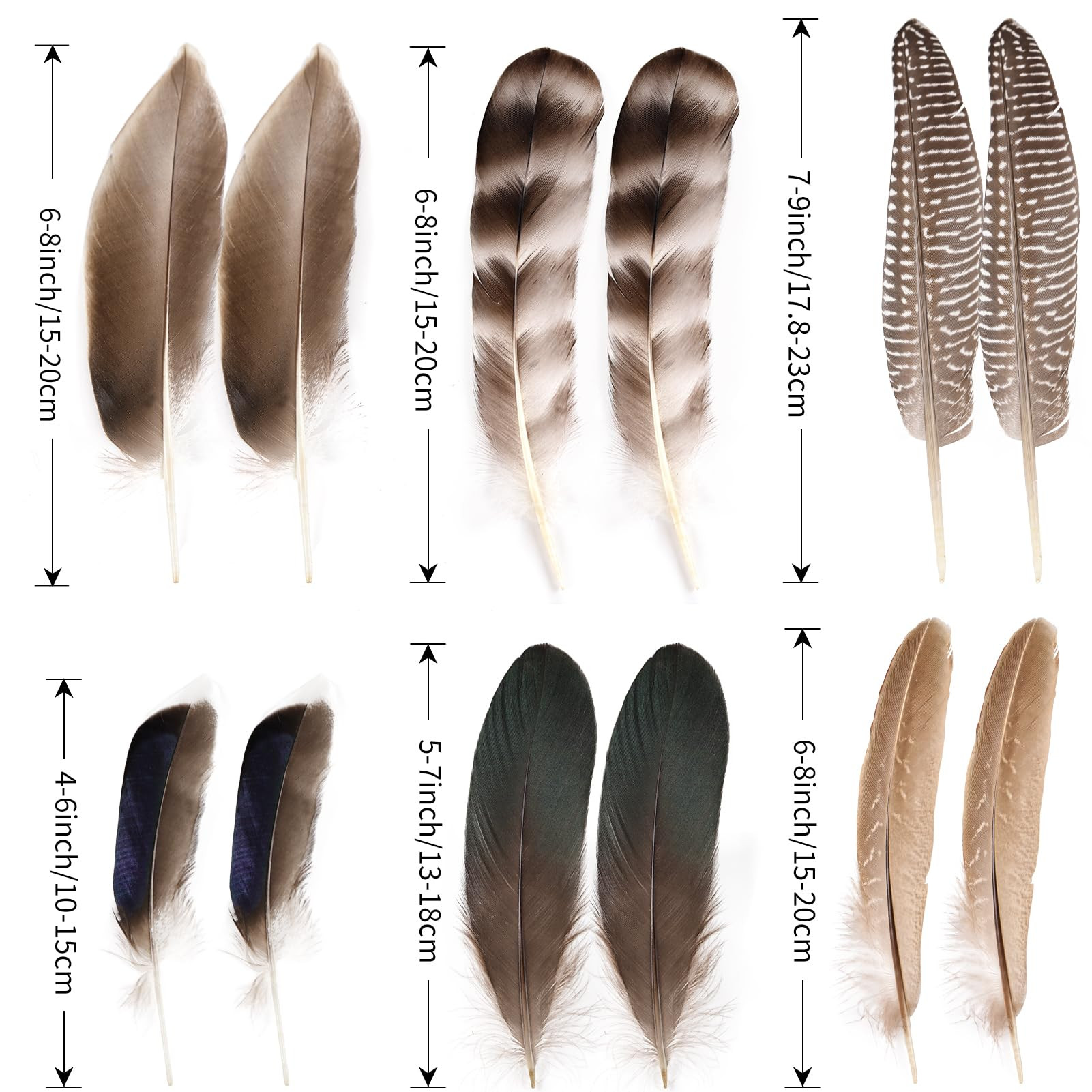 MehelloFeather Natural Pheasant Feathers 12Pcs Bulk Feathers 6 Style for DIY Crafts Hat Floral Ar... | Amazon (US)
