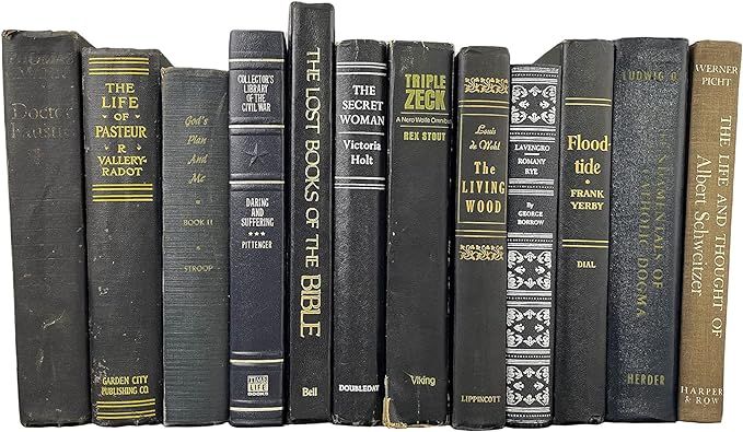 Antique Black Books by Color | Real Hardback Books Home Decor | Bulk Bundle of Decorative Hardcov... | Amazon (US)