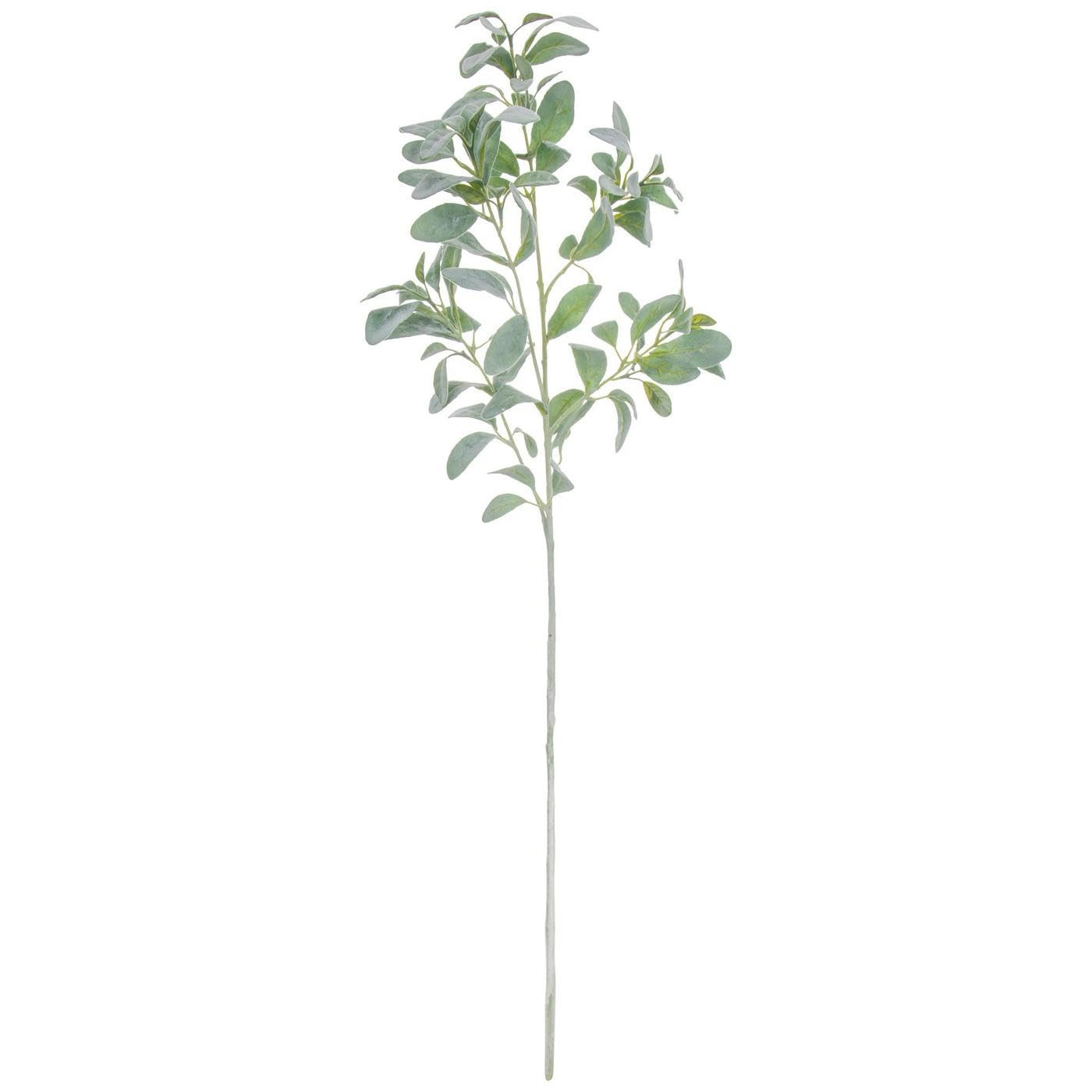 Hobby Lobby Frosted Green Lamb's Ear Spray, Green Leaves, 41.5 inches, Artifical Greenery for Home and Office Decor | Amazon (US)