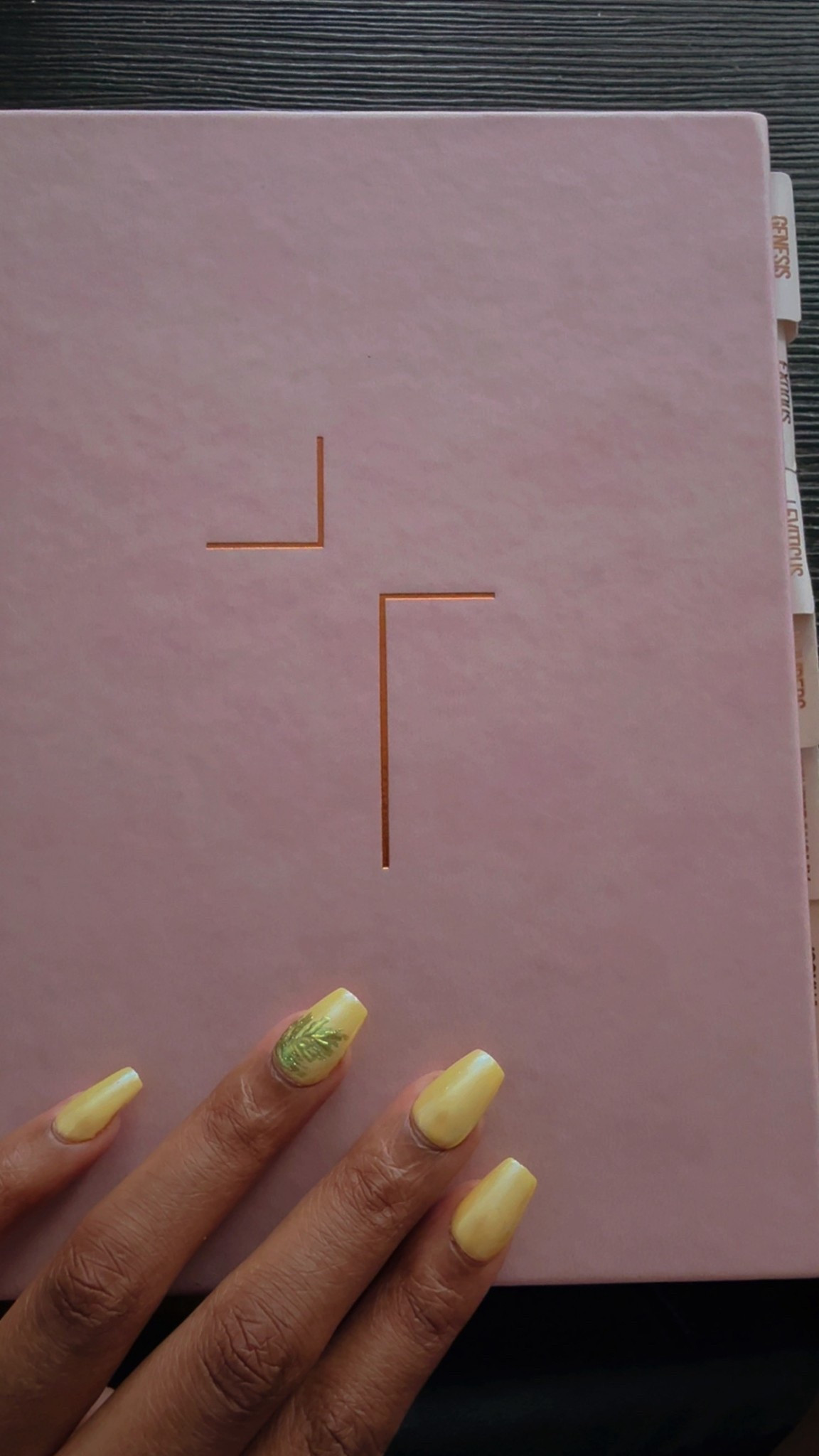 Happy Holy Week! 

I absolutely adore this Bible! I got it not just because it is pink, but because it has extra insight on how Jesus is woven into every book Old and New Testament! 

#LTKselfcare #LTKdayinmylife #LTKstorytime