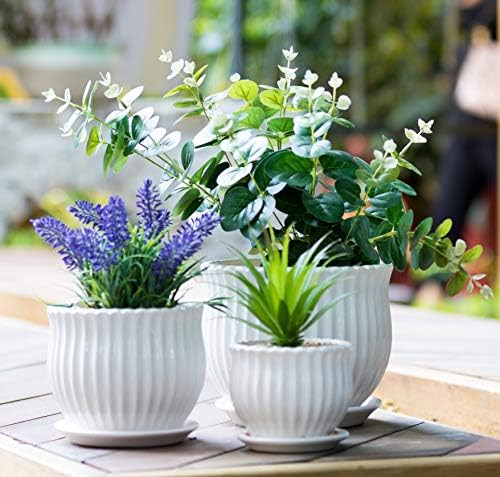 Ceramic Flower Plant Pots with Saucers, Modern Round Ceramic Succulent Planter Pots with White St... | Amazon (US)
