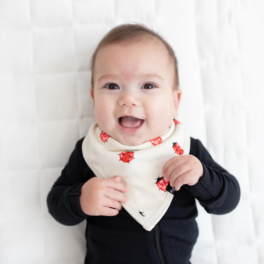 Bib in Love Bug | Kyte BABY