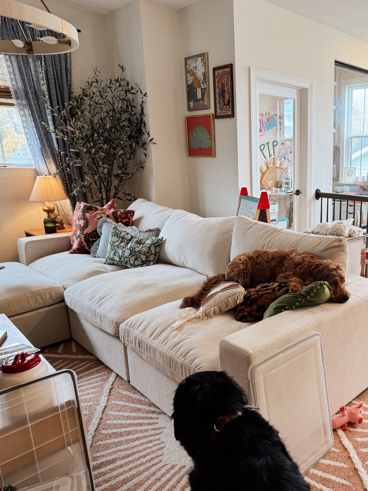 Officially in love and 10/10 recommend. Best couch ever! 