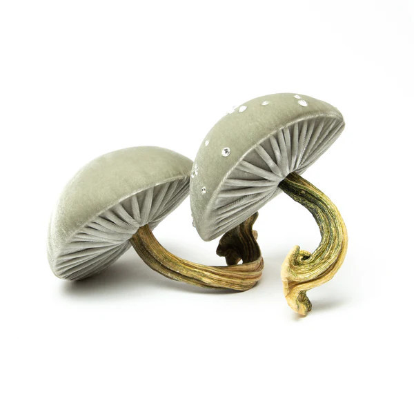 Medium Spa Mushrooms | Hot Skwash