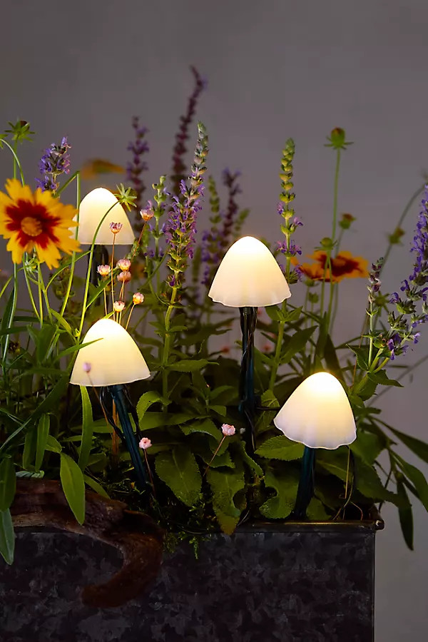 Stargazer Nature Effects Solar Mushroom Lights at Terrain | Terrain