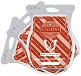 Scentsy, Apple & Cinnamon Sticks, Wickless Candle Tart Warmer Wax 3.2 Oz Bar, 3-pack (3) | Amazon (US)
