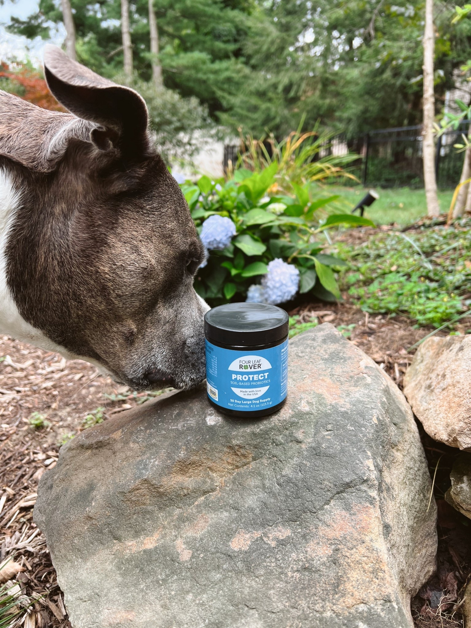 https://fourleafrover.sjv.io/c/5105682/1934011/14711 - link to our favorite supplements! Four Leaf Rover is our favorite. 