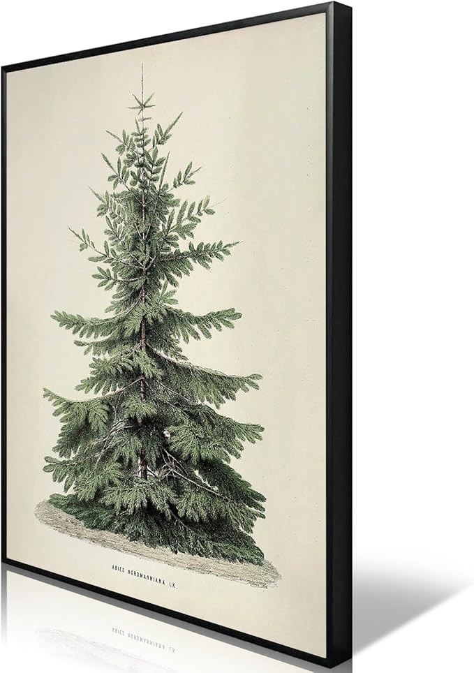 Huabsad Vintage Christmas Tree Wall Art Retro Winter Pine Botanical Aesthetic Pictures Prints Neu... | Amazon (US)