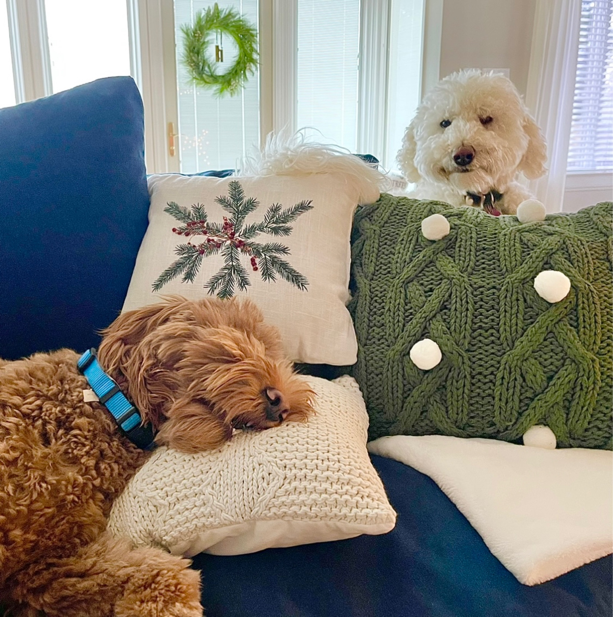 Happy December!🐾 Don’t forget your sweet fur babies this year! 🎄😁  

Christmas, Christmas pillows, Christmas wreath, pets, slip covered sofa, home decor, Christmas home decor, home sweet home

#LTKHoliday #LTKhome #LTKSeasonal
