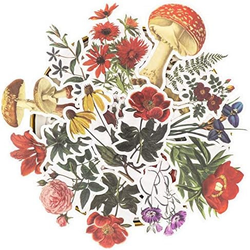 Knaid Vintage Flower Large Sticker Set (60 Pieces) Decorative Botanical Washi Stickers for Scrapb... | Amazon (US)