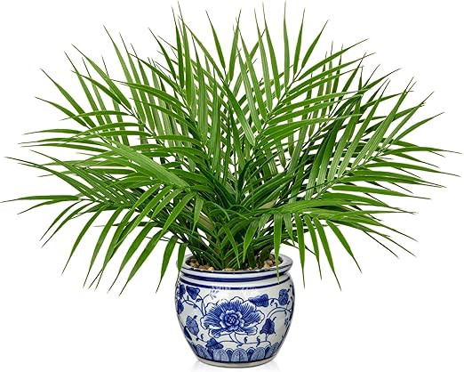 Hollyone Large Artificial Potted Plants Fake Palm Plants 16" Faux Green Plant Plastic Tropical Pa... | Amazon (US)