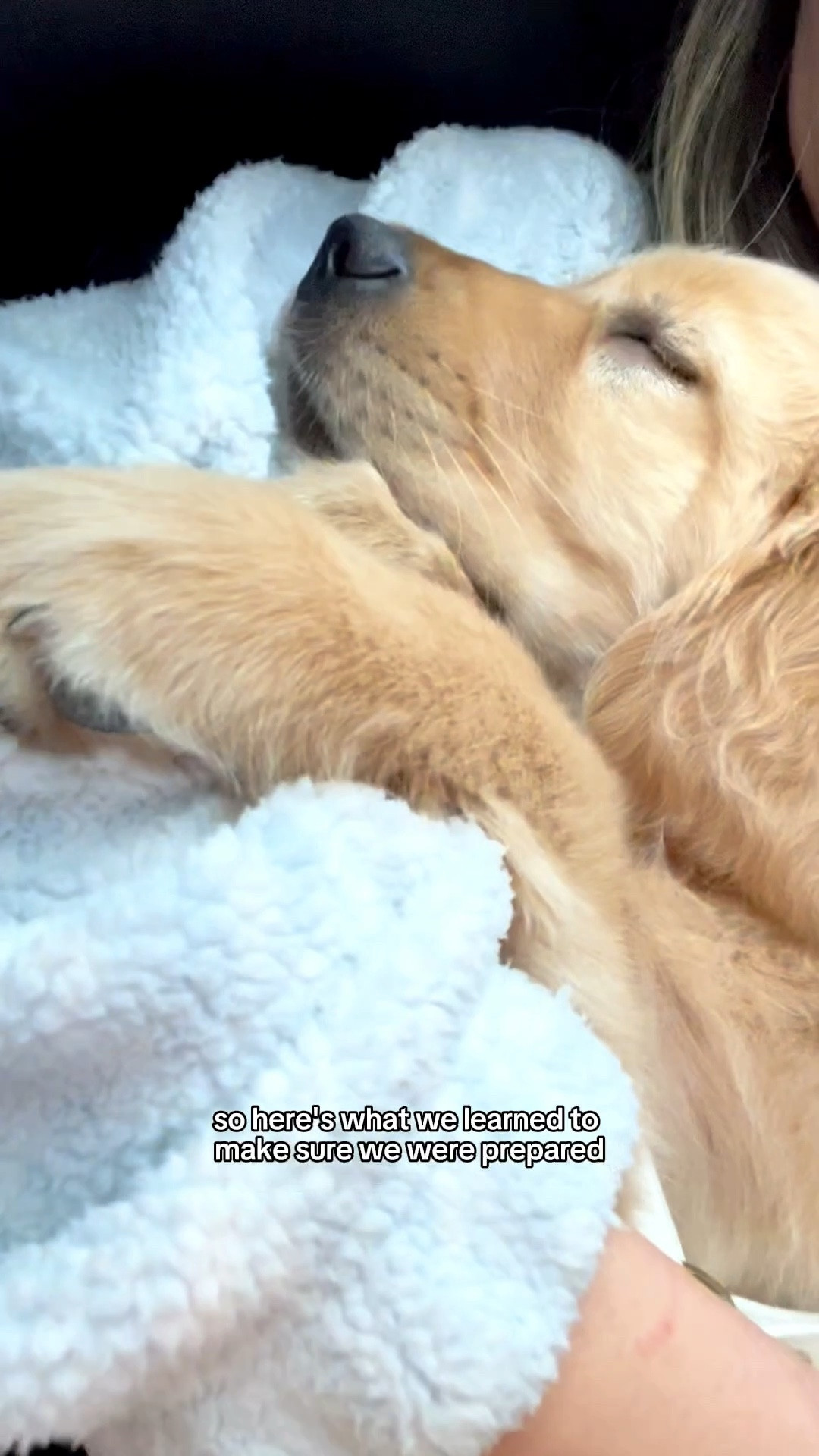 Bringing a new puppy home is equal parts exciting and overwhelming 🤍

When we brought Ayce home, we had nothing ready… but we quickly learned how much easier it is to feel prepared with the right support from Petco.

From her crate and playpen to enrichment toys, teething chews, and training treats—having the right essentials made all the difference in welcoming Aria home.

If you’re getting ready for a new pup (or already in the thick of it), just know it gets easier… especially when you’re set up with the right tools. 

#Petco 
