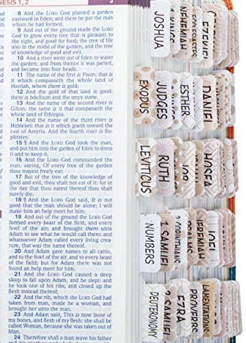 Mr. Pen- Bible Tabs for Catholic or Other Bibles, 75 Tabs, Laminated, Bible Journaling Supplies, ... | Amazon (US)