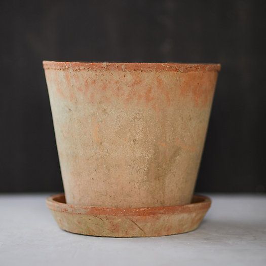 Earth Fired Clay Herb Pot + Saucer Set | Terrain