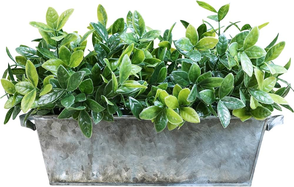 Winlyn Artificial Boxwood Plants in Rustic Galvanized Metal Rectangular Planter Box Faux Boxwood ... | Amazon (US)