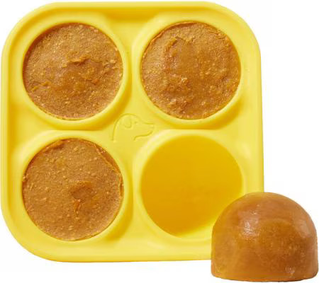 Woof Pupsicle Treat Tray Mold Treat Dispenser Dog Toy, Small | Chewy