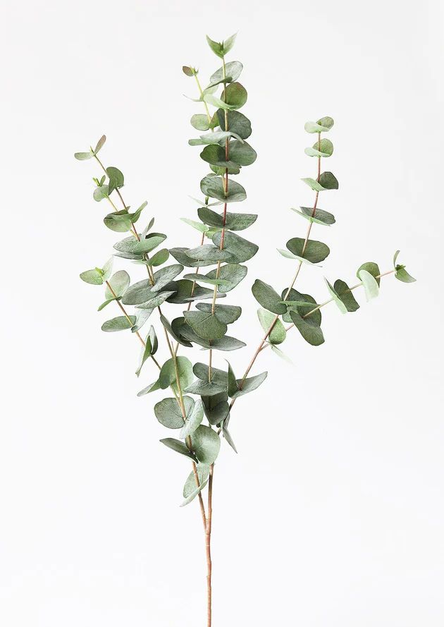 Green Grey Artificial Spiral Eucalyptus Branch - 40" | Afloral (US)