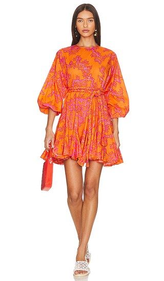 Ella Dress in Coral Reef Grande | Orange Mini Dress Pink And Orange Dress Short Orange Dress Short | Revolve Clothing (Global)