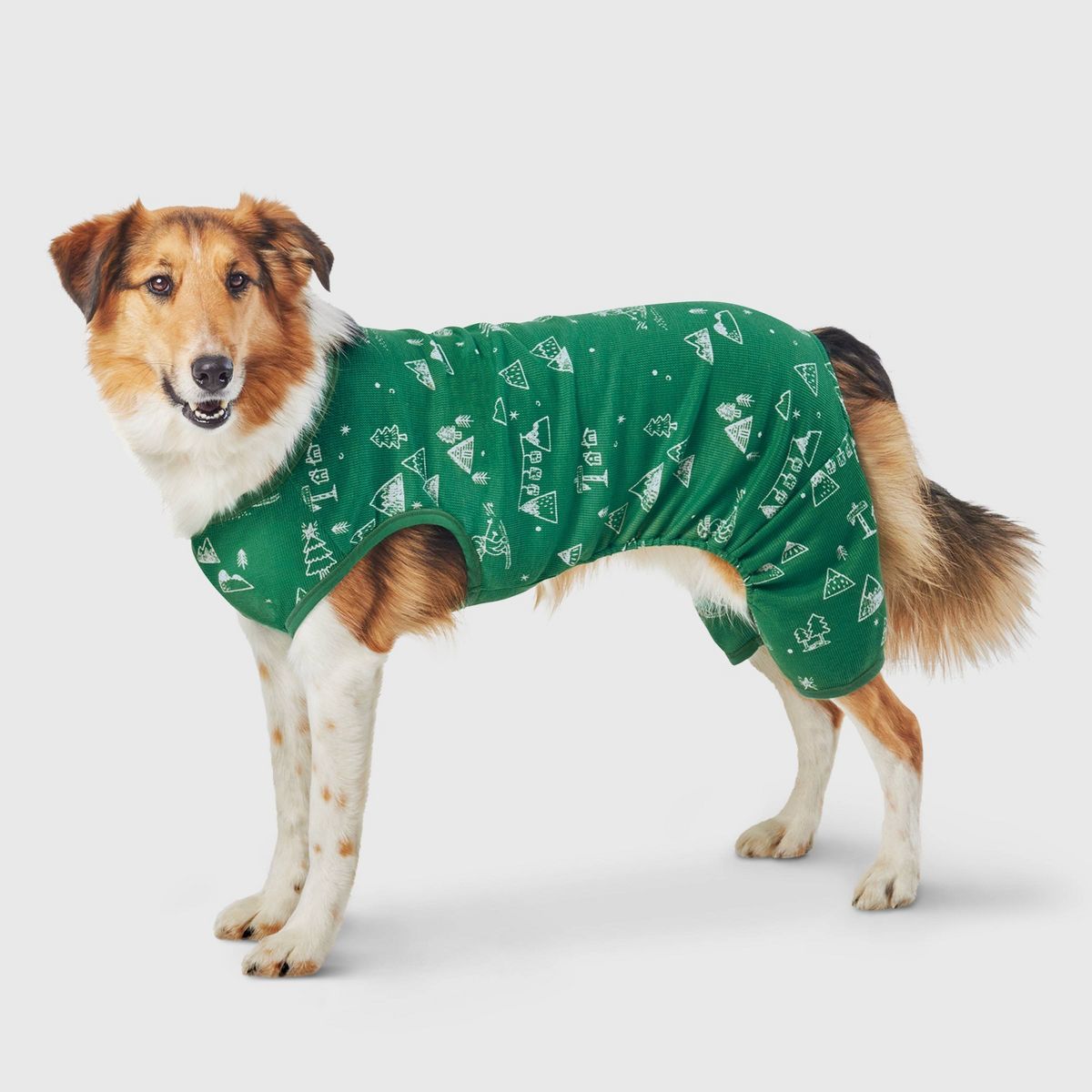Ski Scene Matching Family Thermal Cat and Dog Pajamas - Wondershop™ - Green | Target