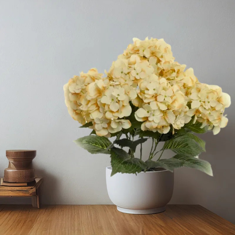 Hydrangea Bush | Wayfair North America