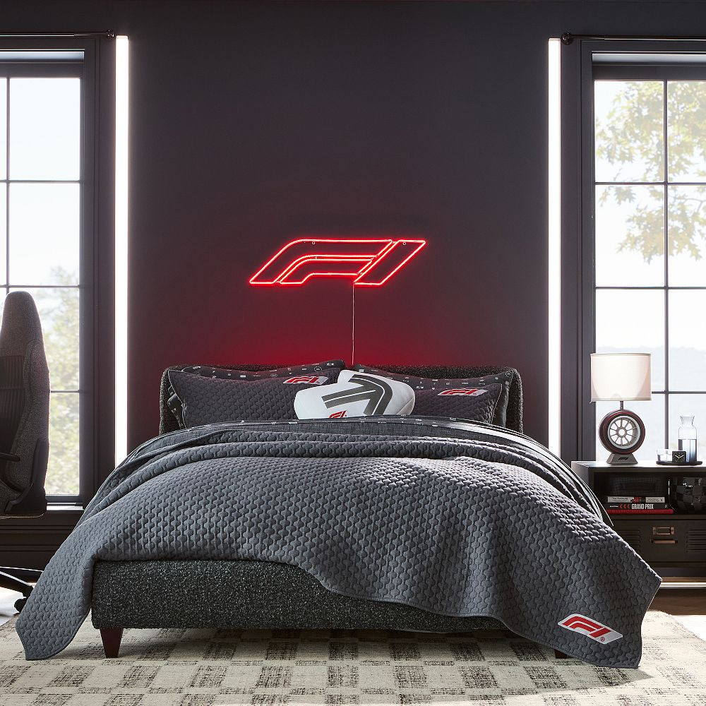 Formula 1\u00ae Arrow Shaped Pillow | Pottery Barn Teen