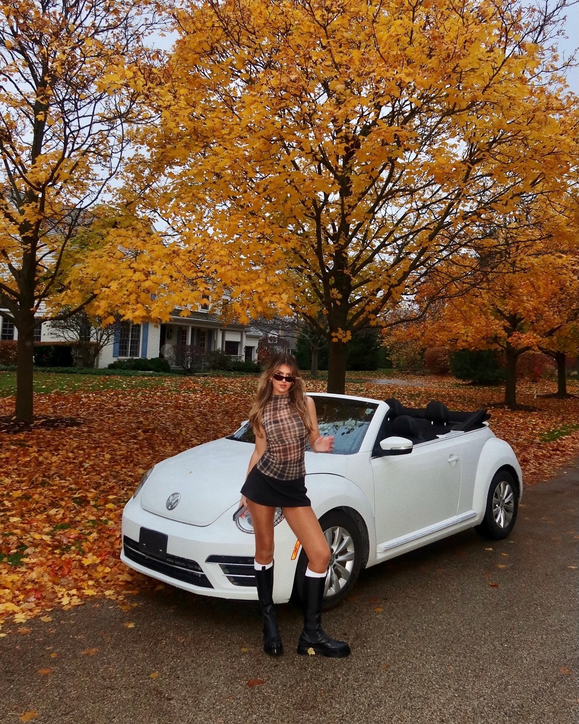 top down till the snow falls