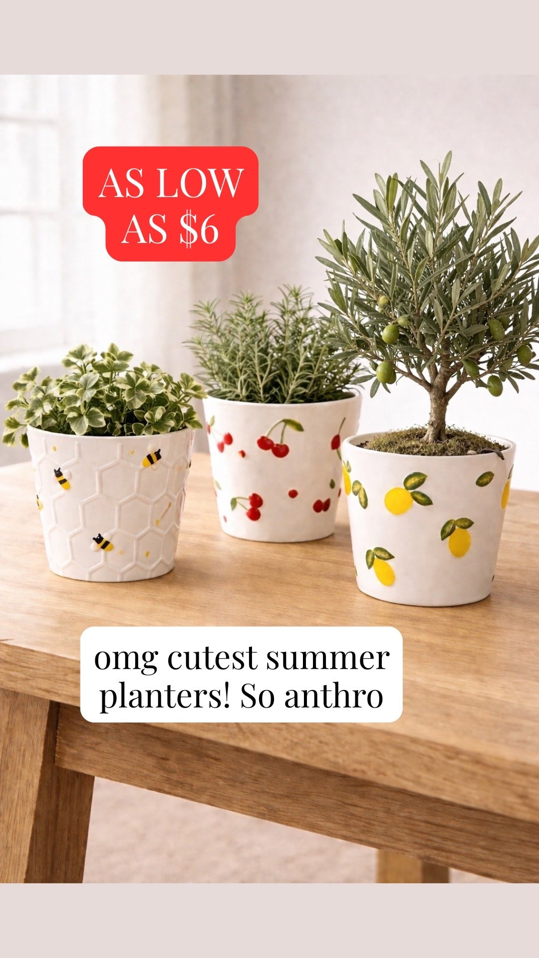 The cutest anthro look planters!