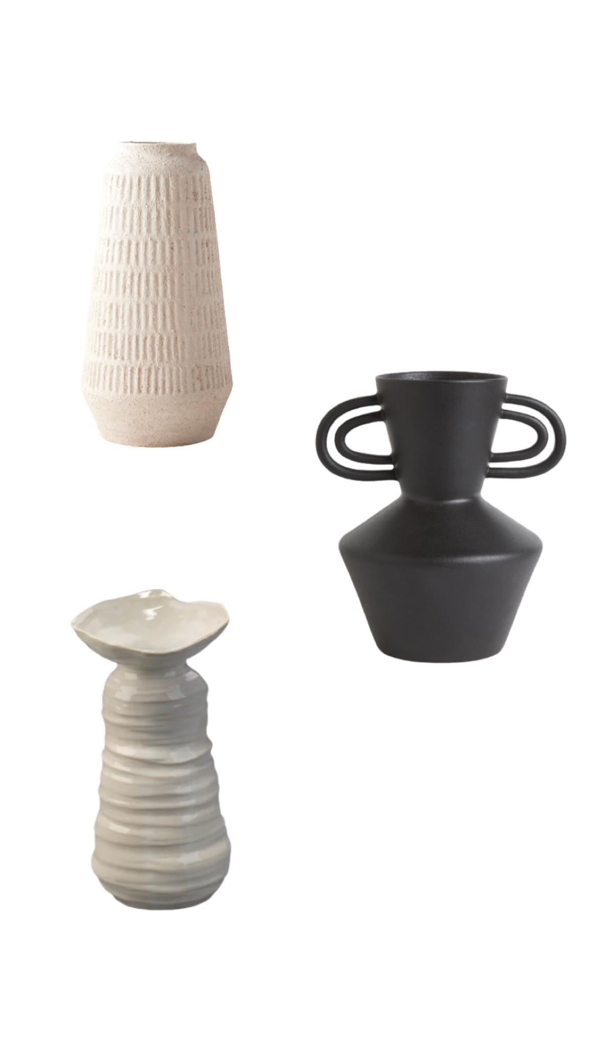 Vases for Delphinium 