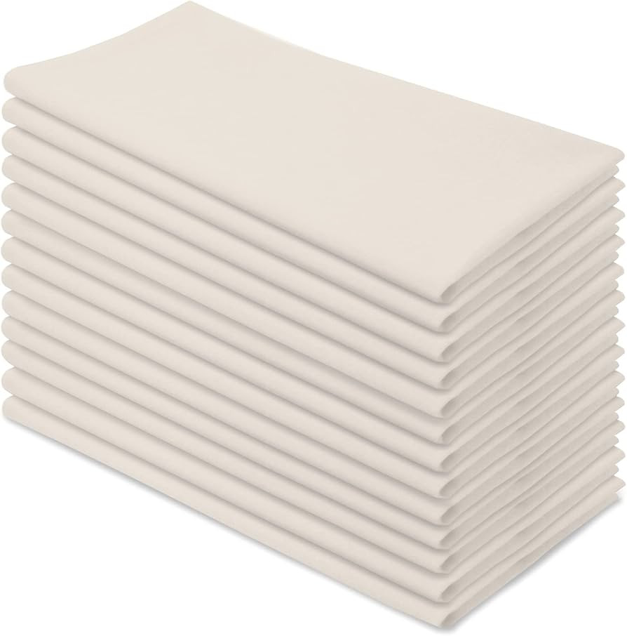 Aunti Em's Kitchen Wrinkle Resistant Dinner Napkins, Oversized 20 x 20 Inches, Set of 12, Natural... | Amazon (US)