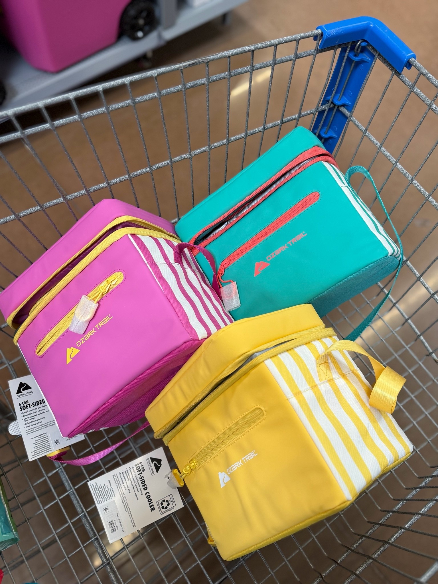 Mini coolers with removable hardliners just 10.94🔥

#LTKSeasonal