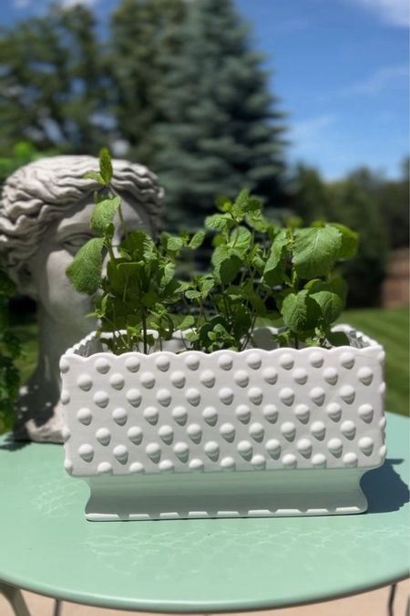 Mini mint herb garden in my favorite white hobnail planter!

#LTKFind #LTKunder50 #LTKhome