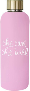 Click for more info about SWEET WATER DECOR She Can and She Will Metal Water Bottle Motivational Gift for Her Pink Inspirat...