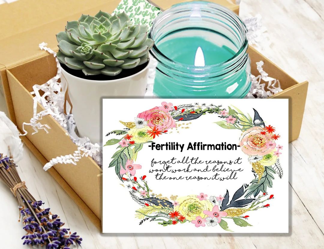 Fertility Affirmation Succulent Gift Box Gift Box for Friend Pregnancy Wishes Good Luck Fertility... | Etsy (US)