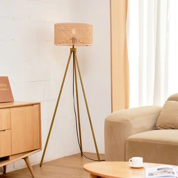 60" Tripod Floor Lamp | Wayfair North America