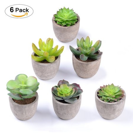 Artificial Succulent Plants - Coolmade Set of 6 Fake Succulent Planter Faux Cacti Plants, Small Succ | Walmart (US)