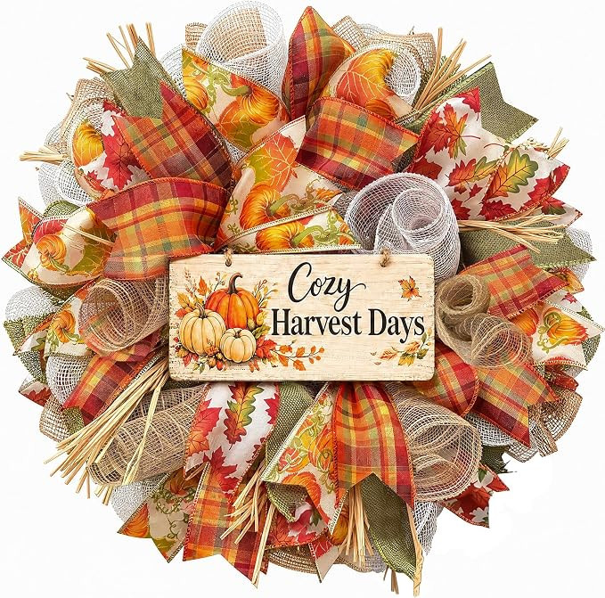 20 Inch Fall Wreaths for Front Door with Layered Plaid Ribbons | Farmhouse Mesh Wreath with ''Coz... | Amazon (US)