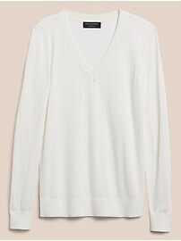 Forever V-Neck Sweater | Banana Republic Factory